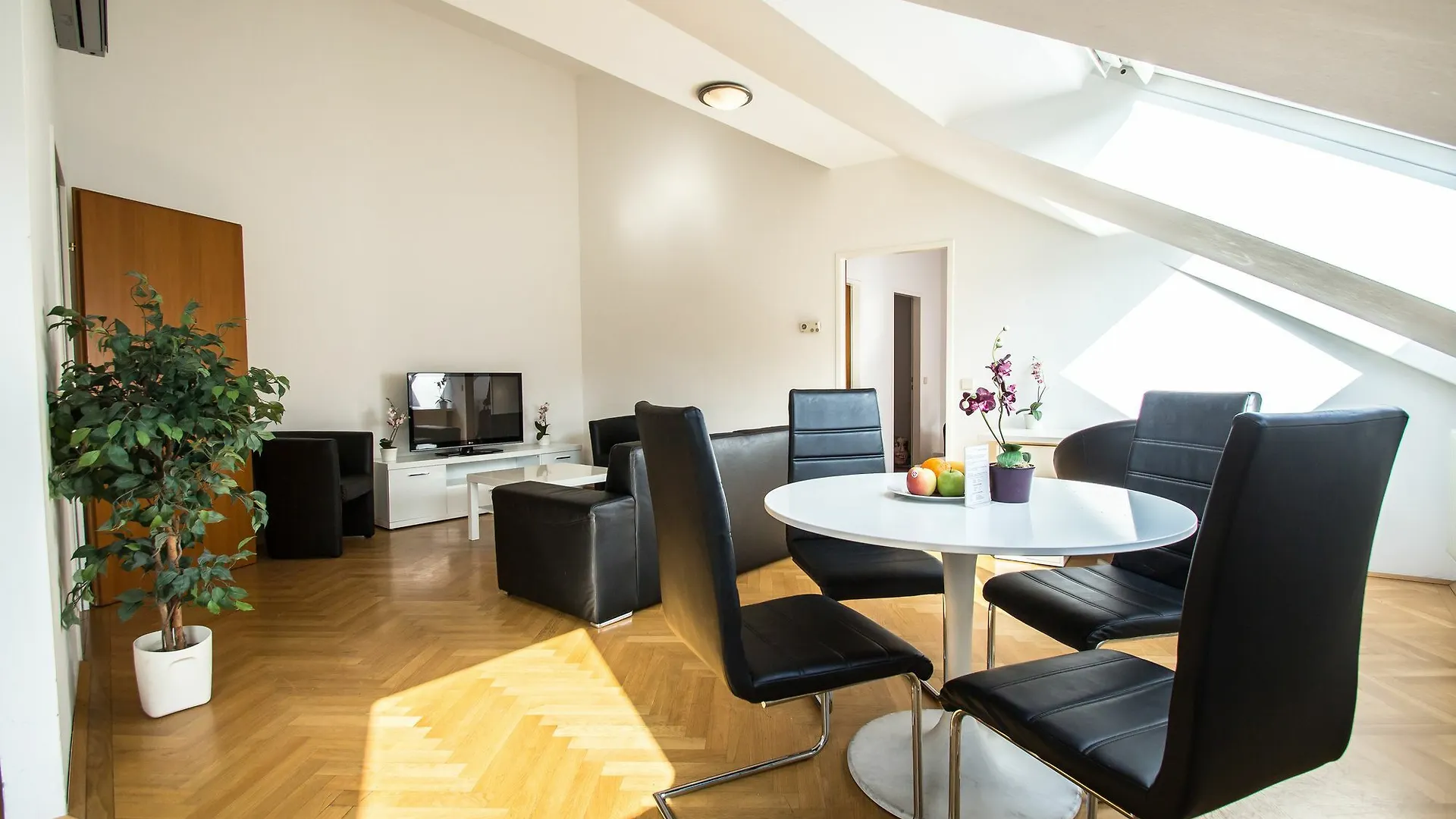 Sweet Living Salztorgasse Apartment Vienna
